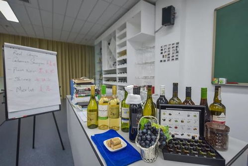 三亞中瑞酒店管理學院丨酒店管理與餐飲管理 全球十大熱門行業的雙翼