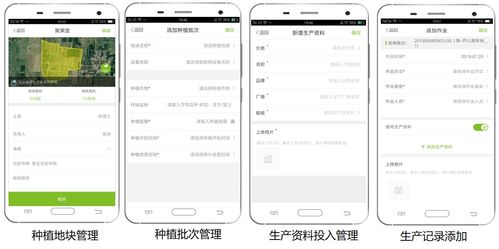 大田智慧農(nóng)業(yè) 1.28億元數(shù)字化服務引領農(nóng)產(chǎn)品安全生產(chǎn)新紀元